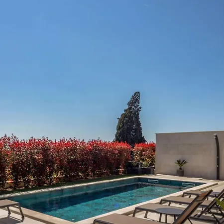 Lara Vabriga Tar-Vabriga