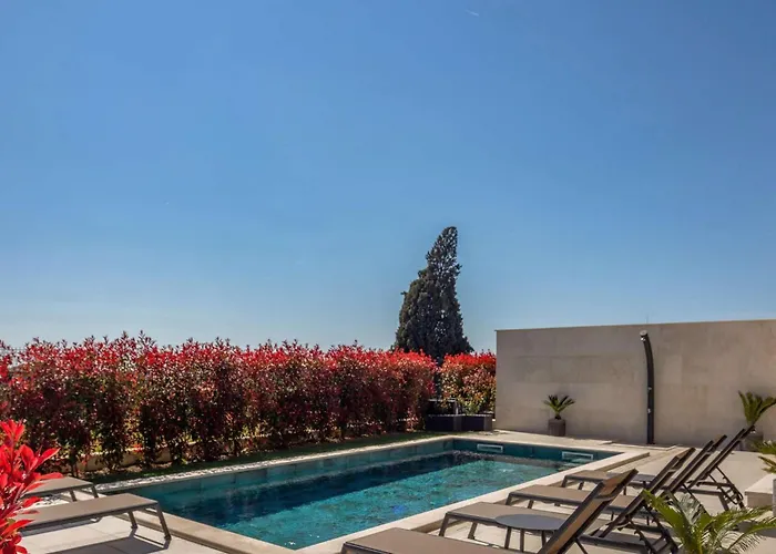 Lara Vabriga Tar-Vabriga